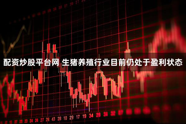 配资炒股平台网 生猪养殖行业目前仍处于盈利状态