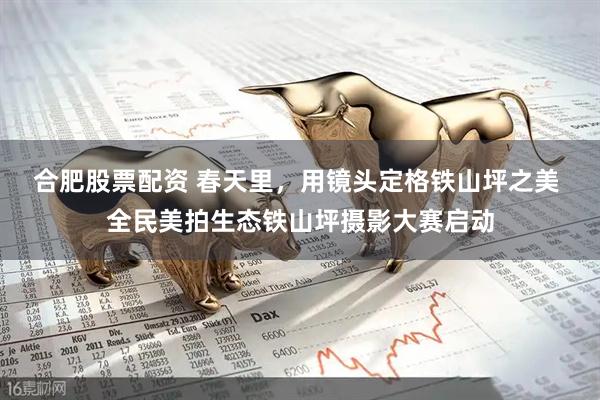 合肥股票配资 春天里，用镜头定格铁山坪之美 全民美拍生态铁山坪摄影大赛启动
