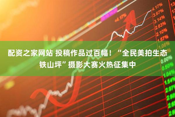 配资之家网站 投稿作品过百幅！“全民美拍生态铁山坪”摄影大赛火热征集中